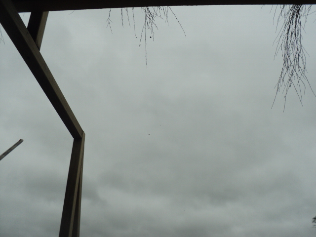 Name:  picture 01 2427.jpg
Views: 295
Size:  164.9 KB