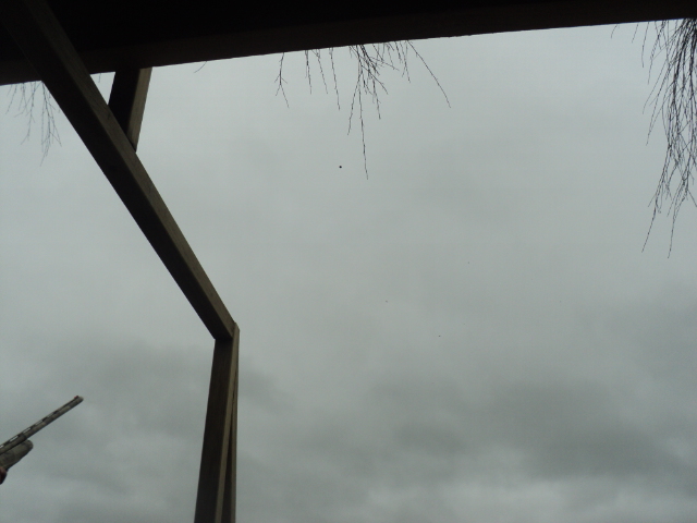 Name:  picture 01 2432.jpg
Views: 284
Size:  164.4 KB