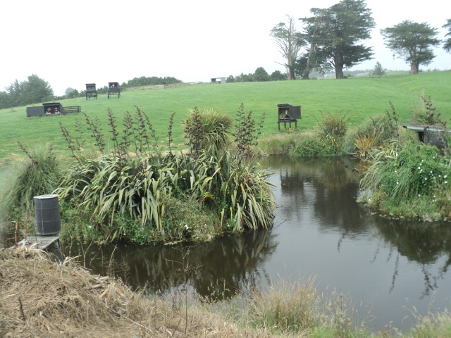 Name:  picture 01 2434.jpg
Views: 286
Size:  164.8 KB