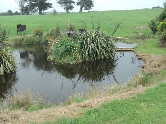 Name:  picture 01 2435.jpg
Views: 281
Size:  164.9 KB