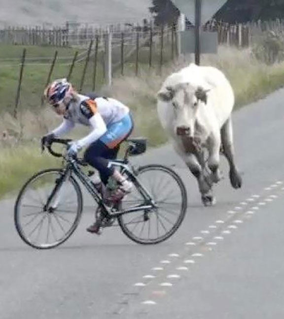 Name:  Funny-Cyclist-26.jpg
Views: 548
Size:  49.9 KB