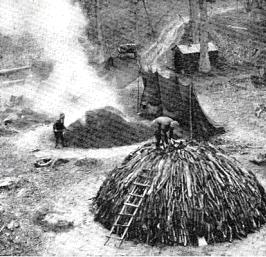 Name:  charcoal burners.jpg
Views: 91
Size:  21.7 KB
