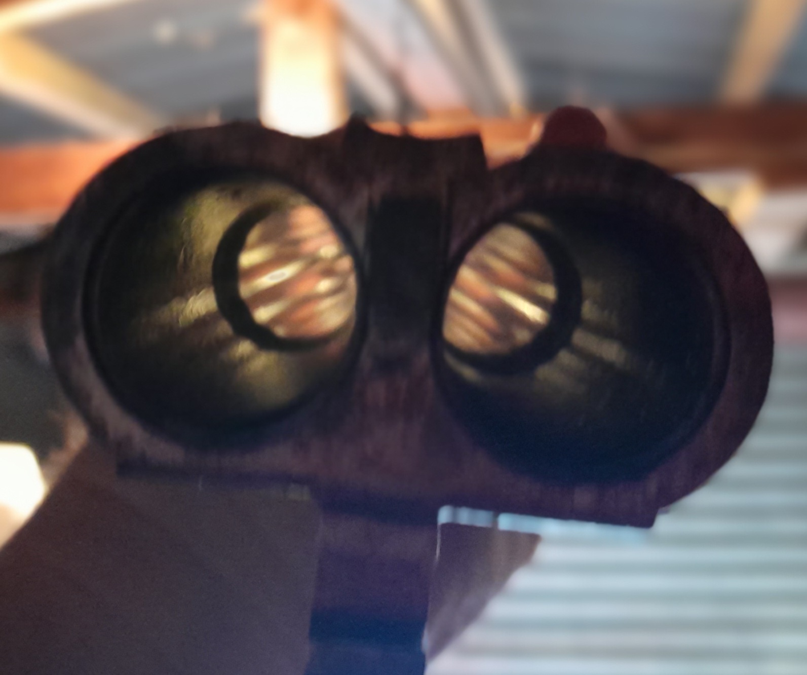 Name:  zoli d.jpg
Views: 426
Size:  270.3 KB