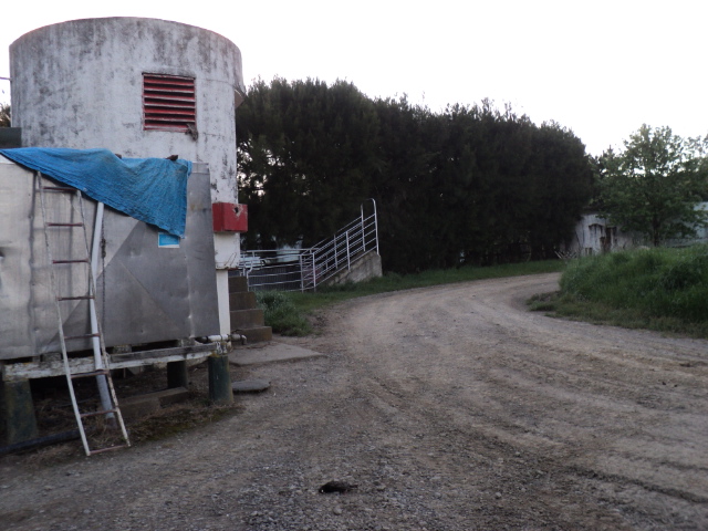 Name:  picture 4608.jpg
Views: 356
Size:  163.8 KB