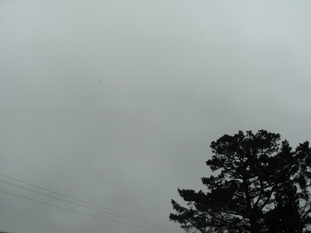 Name:  561.jpg
Views: 302
Size:  148.7 KB