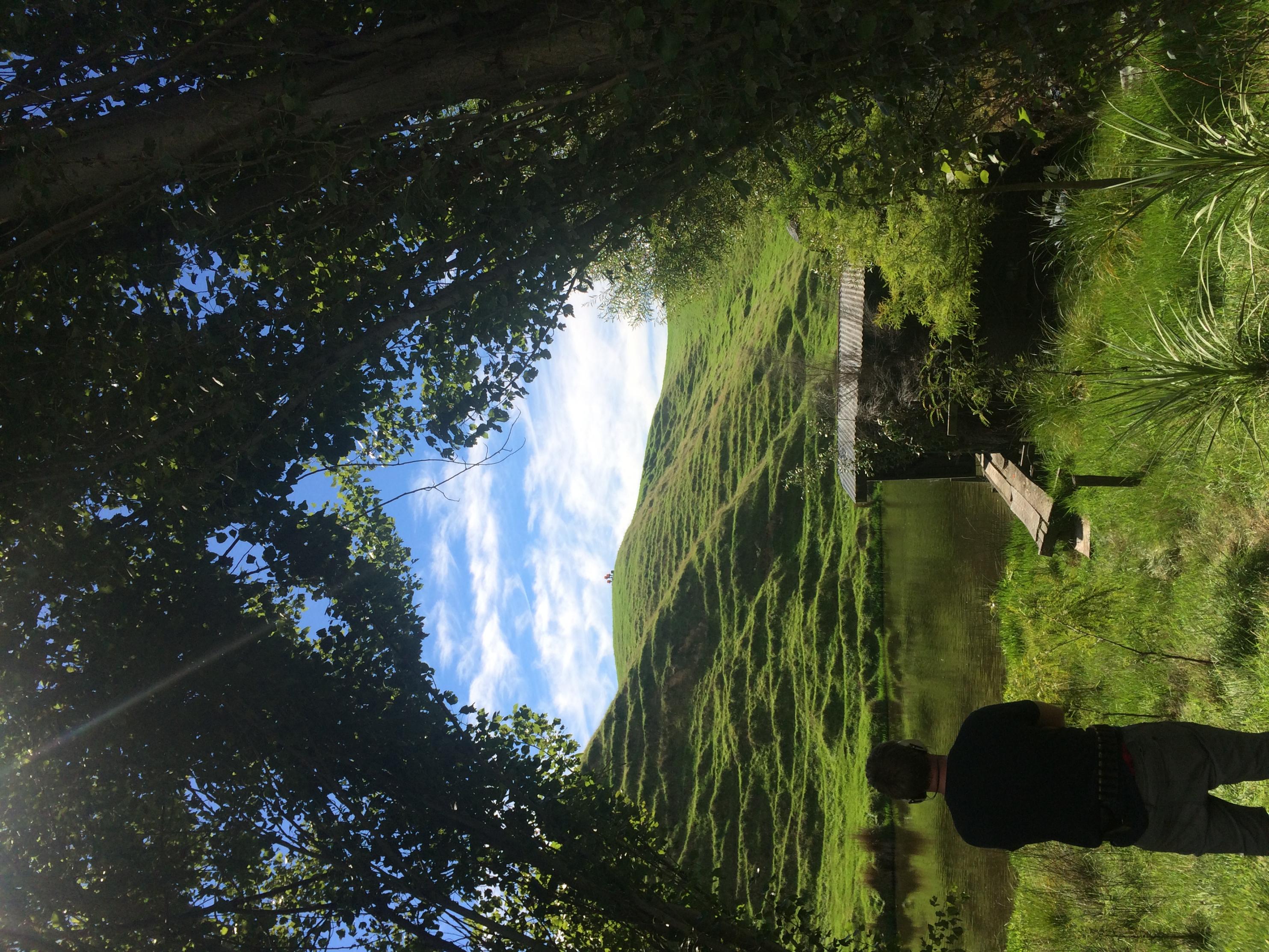 Name:  IMG_1368.jpg
Views: 202
Size:  1,017.4 KB