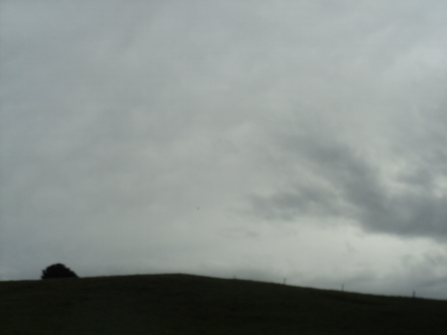 Name:  picture 01 661.jpg
Views: 370
Size:  155.1 KB