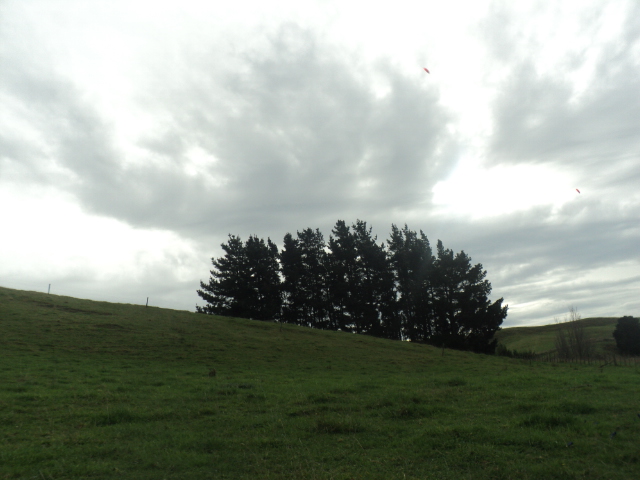 Name:  picture 01 662.jpg
Views: 344
Size:  162.0 KB