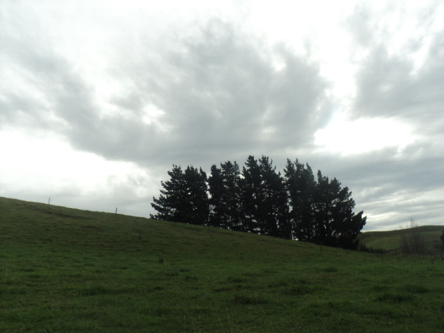 Name:  picture 01 663.jpg
Views: 387
Size:  162.5 KB