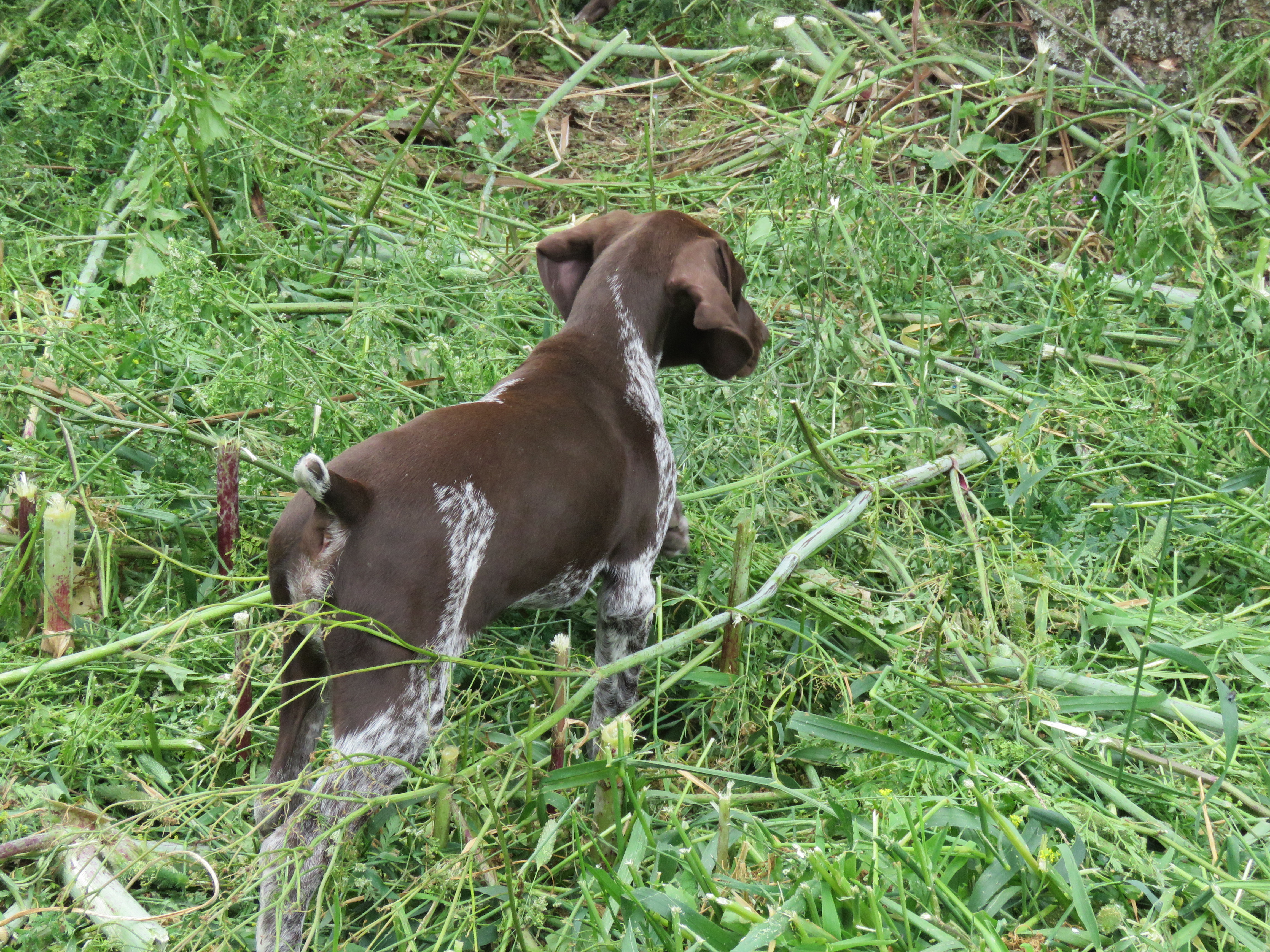 Name:  IMG_6386.JPG
Views: 603
Size:  6.96 MB