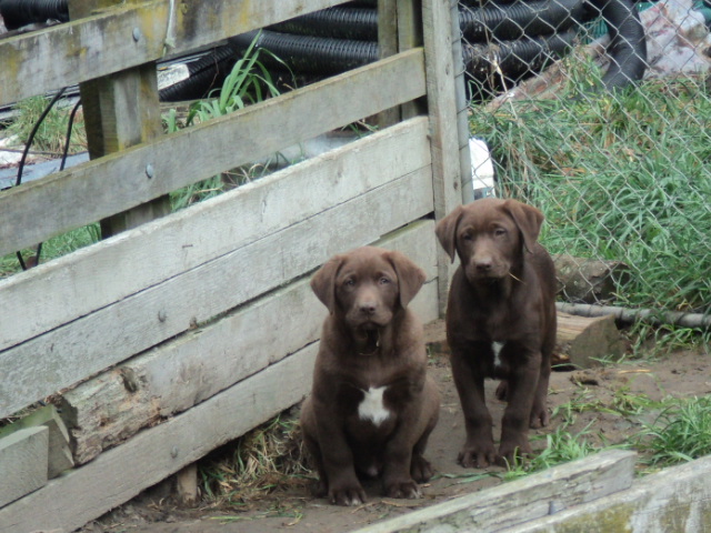 Name:  picture 01 3874.jpg
Views: 858
Size:  163.2 KB