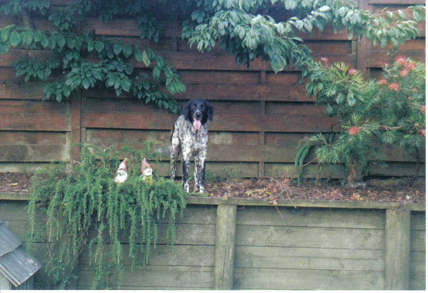 Name:  skye.JPG
Views: 491
Size:  382.7 KB