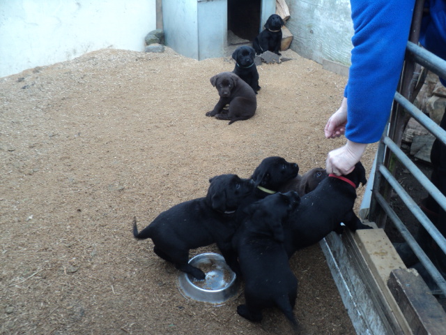 Name:  picture 01 1342.jpg
Views: 545
Size:  164.3 KB