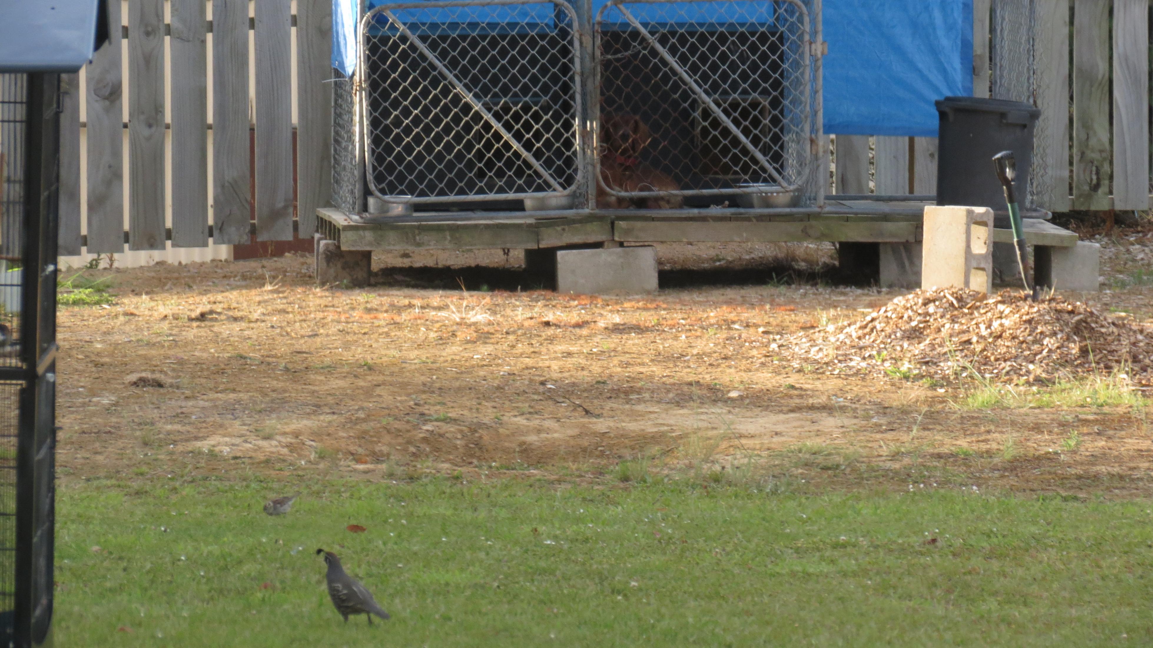 Name:  IMG_4761.jpg
Views: 285
Size:  978.2 KB