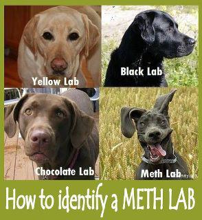 Name:  Meth lab.jpg
Views: 189
Size:  27.8 KB