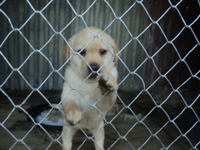 Name:  picture 01 5688.jpg
Views: 200
Size:  160.9 KB