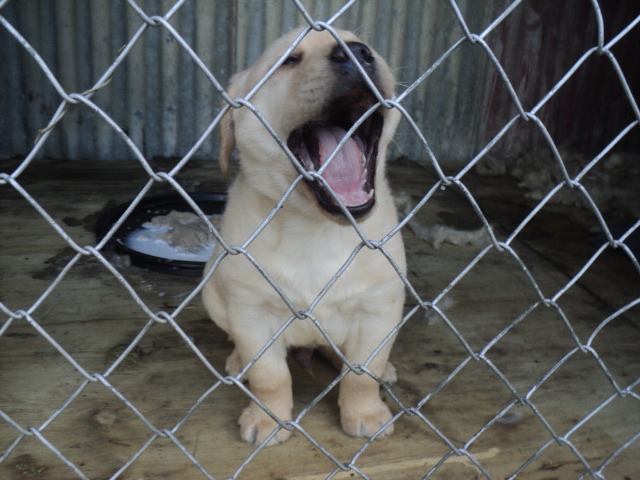 Name:  picture 01 5689.jpg
Views: 205
Size:  164.9 KB
