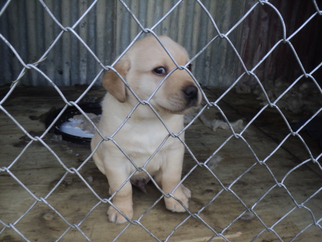 Name:  picture 01 5690.jpg
Views: 204
Size:  165.0 KB