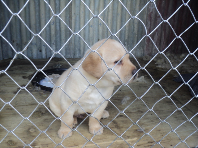 Name:  picture 01 5691.jpg
Views: 200
Size:  162.1 KB
