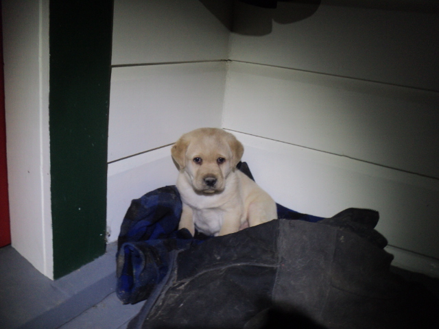 Name:  picture 01 5697.jpg
Views: 160
Size:  158.6 KB