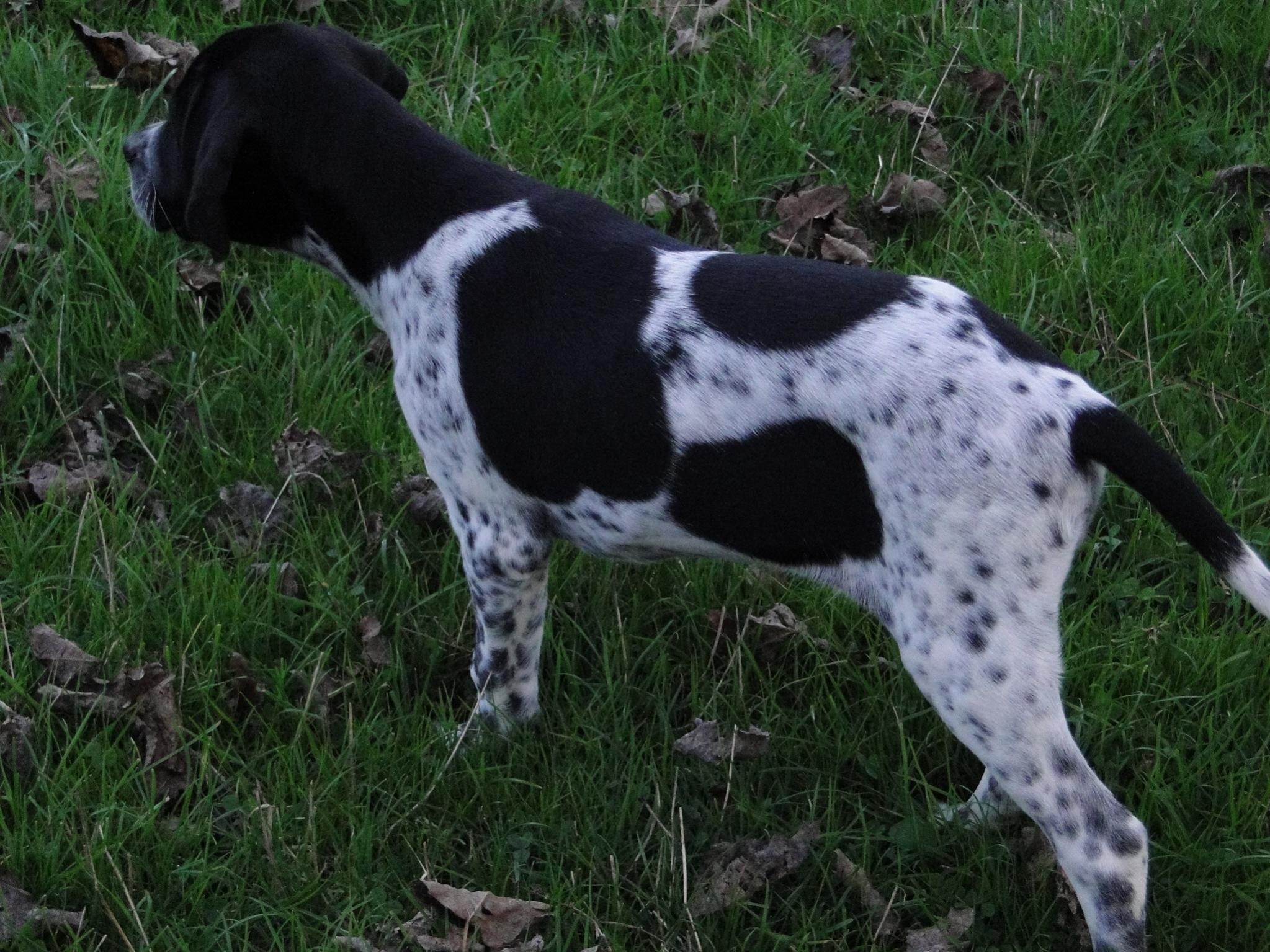 Name:  11weeks 036.jpg
Views: 375
Size:  462.2 KB