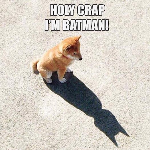 Name:  batman.jpg
Views: 163
Size:  76.3 KB