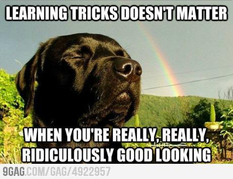 Name:  dogtrick.jpg
Views: 316
Size:  35.2 KB