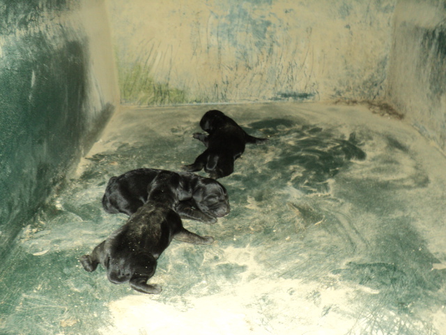 Name:  picture 4330.jpg
Views: 244
Size:  163.2 KB