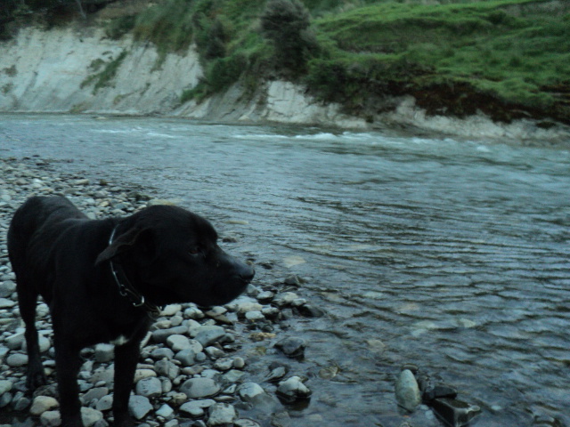 Name:  picture 4627.jpg
Views: 286
Size:  164.2 KB