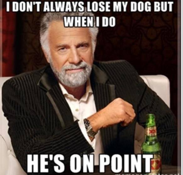 Name:  point.jpg
Views: 498
Size:  40.5 KB