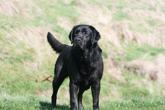 Name:  Lars resized.jpg
Views: 849
Size:  130.8 KB