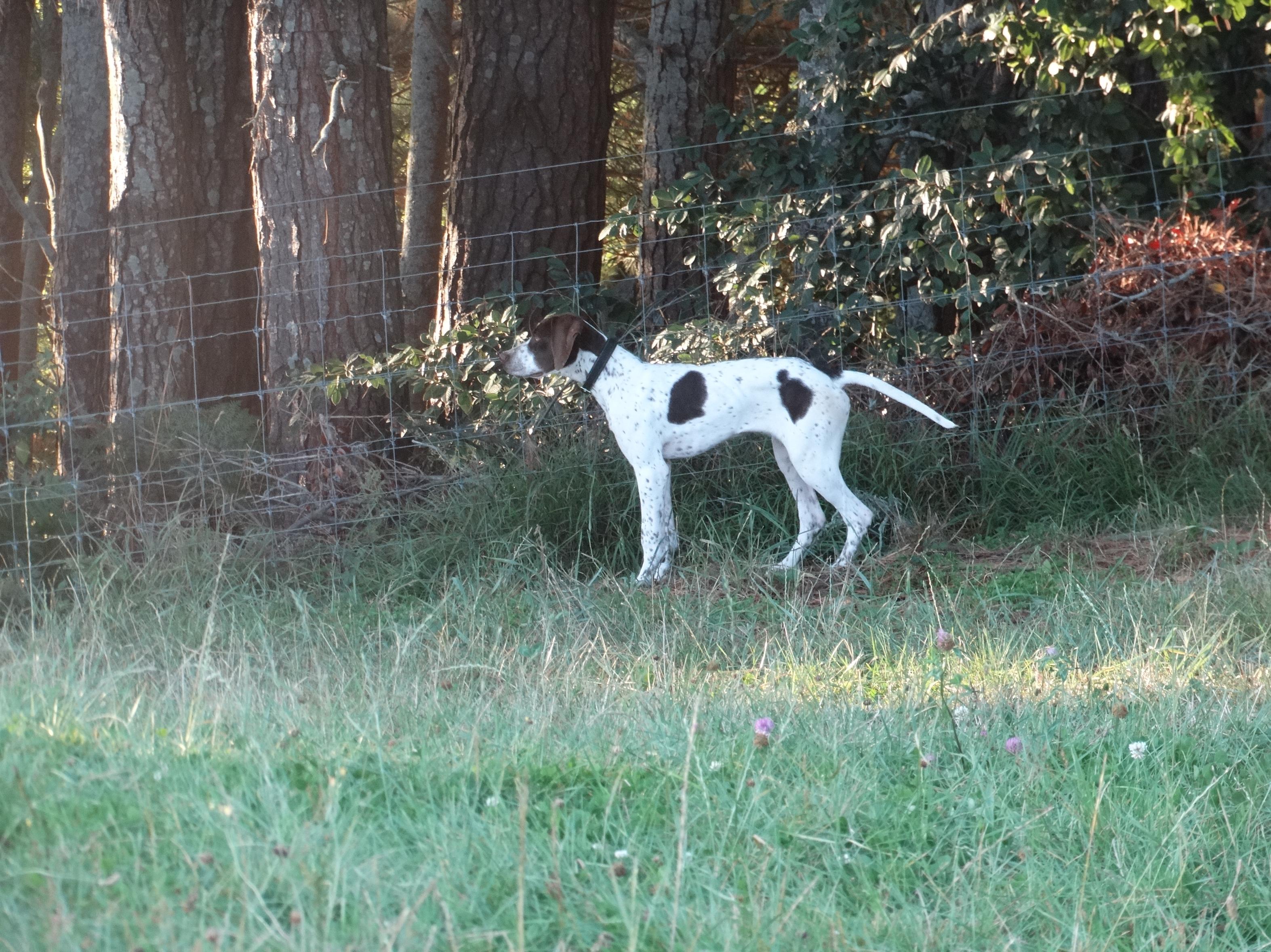 Name:  Ace 1.jpg
Views: 639
Size:  1.10 MB