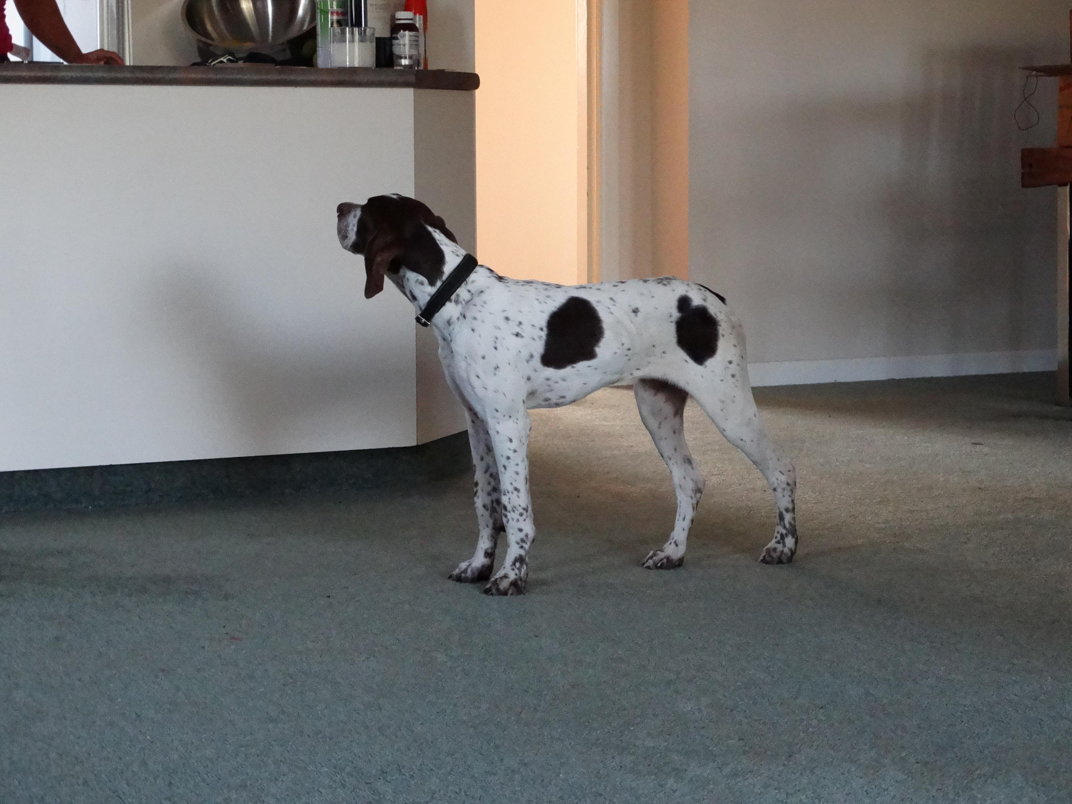Name:  Ace 3.jpg
Views: 641
Size:  979.3 KB