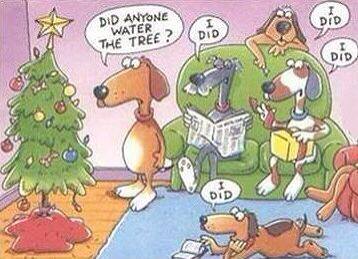 Name:  treepee.jpg
Views: 313
Size:  25.1 KB