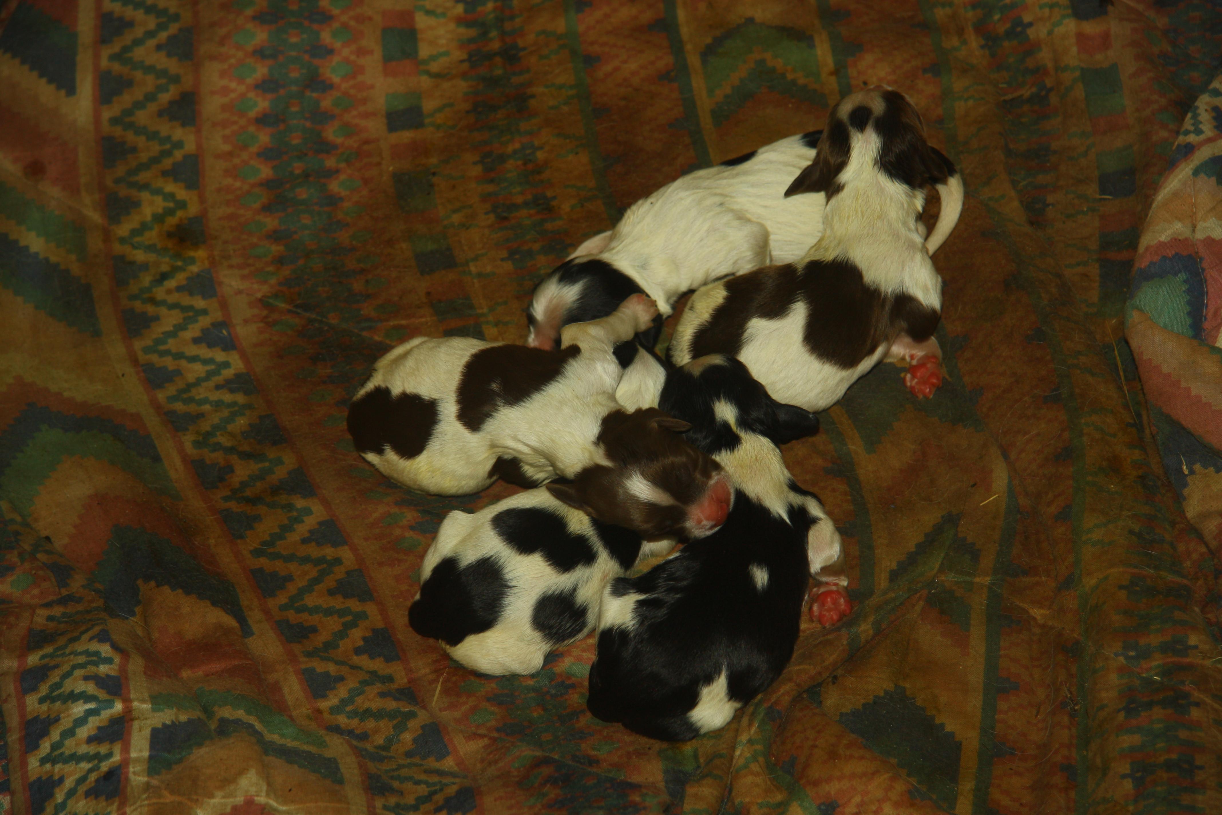 Name:  IMG_0047.jpg
Views: 390
Size:  843.3 KB