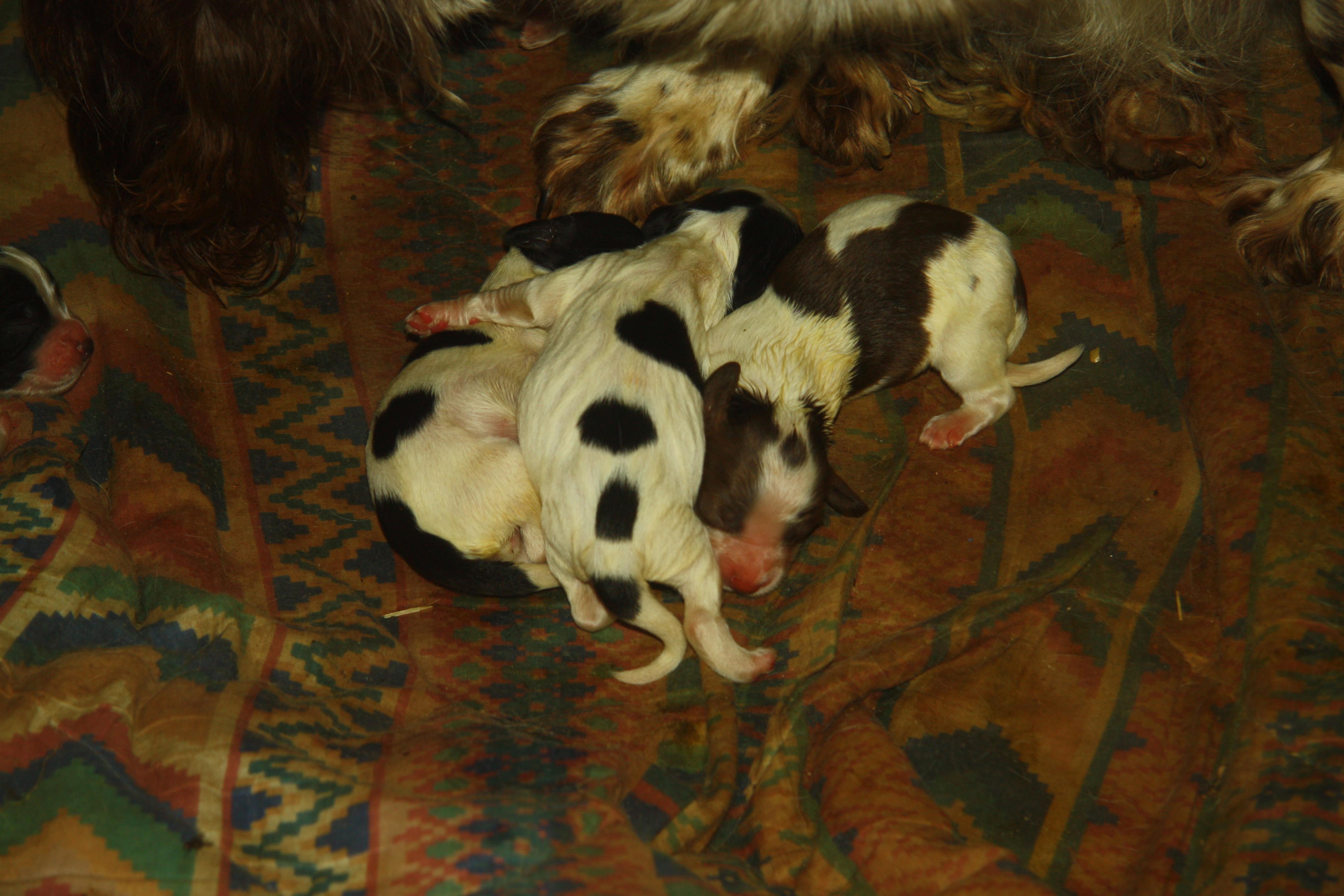 Name:  IMG_0051.jpg
Views: 319
Size:  782.0 KB