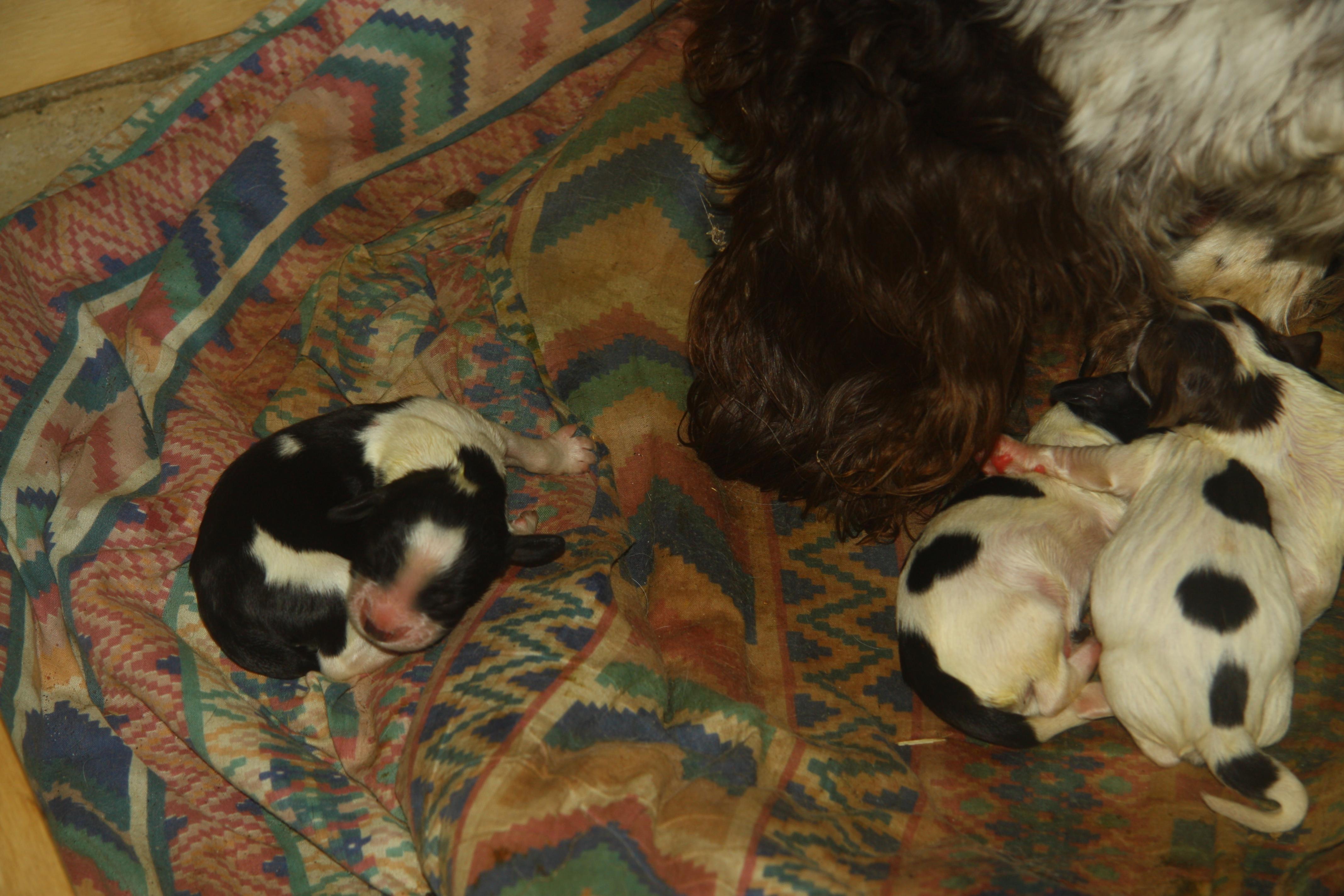 Name:  IMG_0052.jpg
Views: 478
Size:  849.4 KB