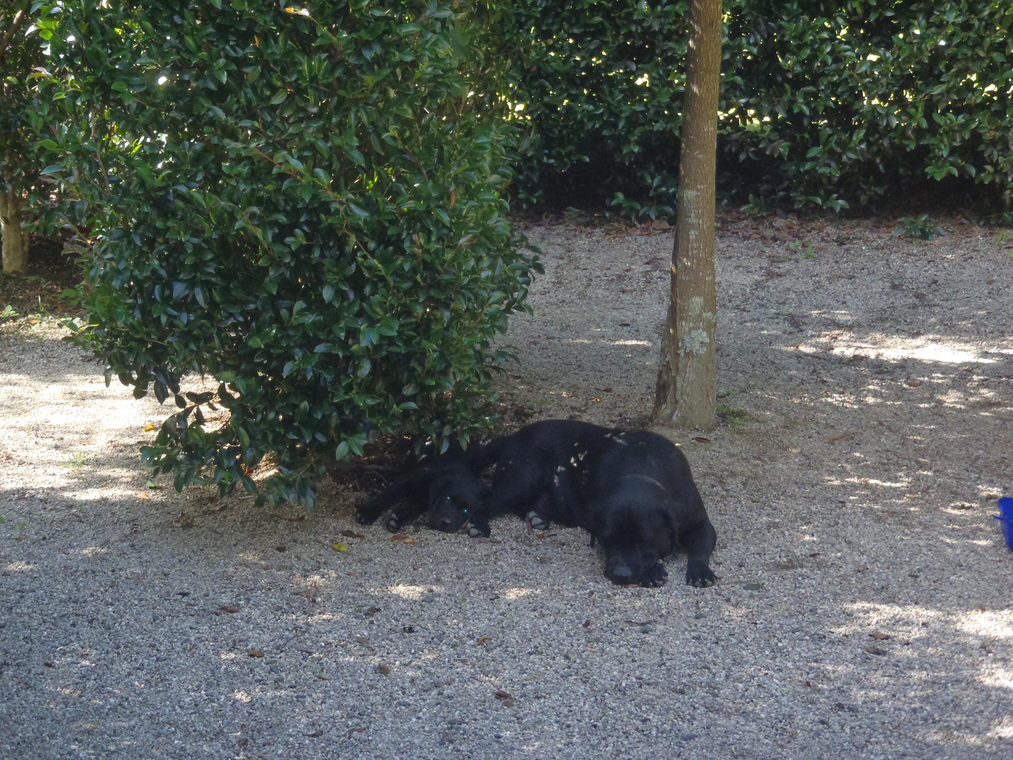 Name:  017.jpg
Views: 295
Size:  1.12 MB