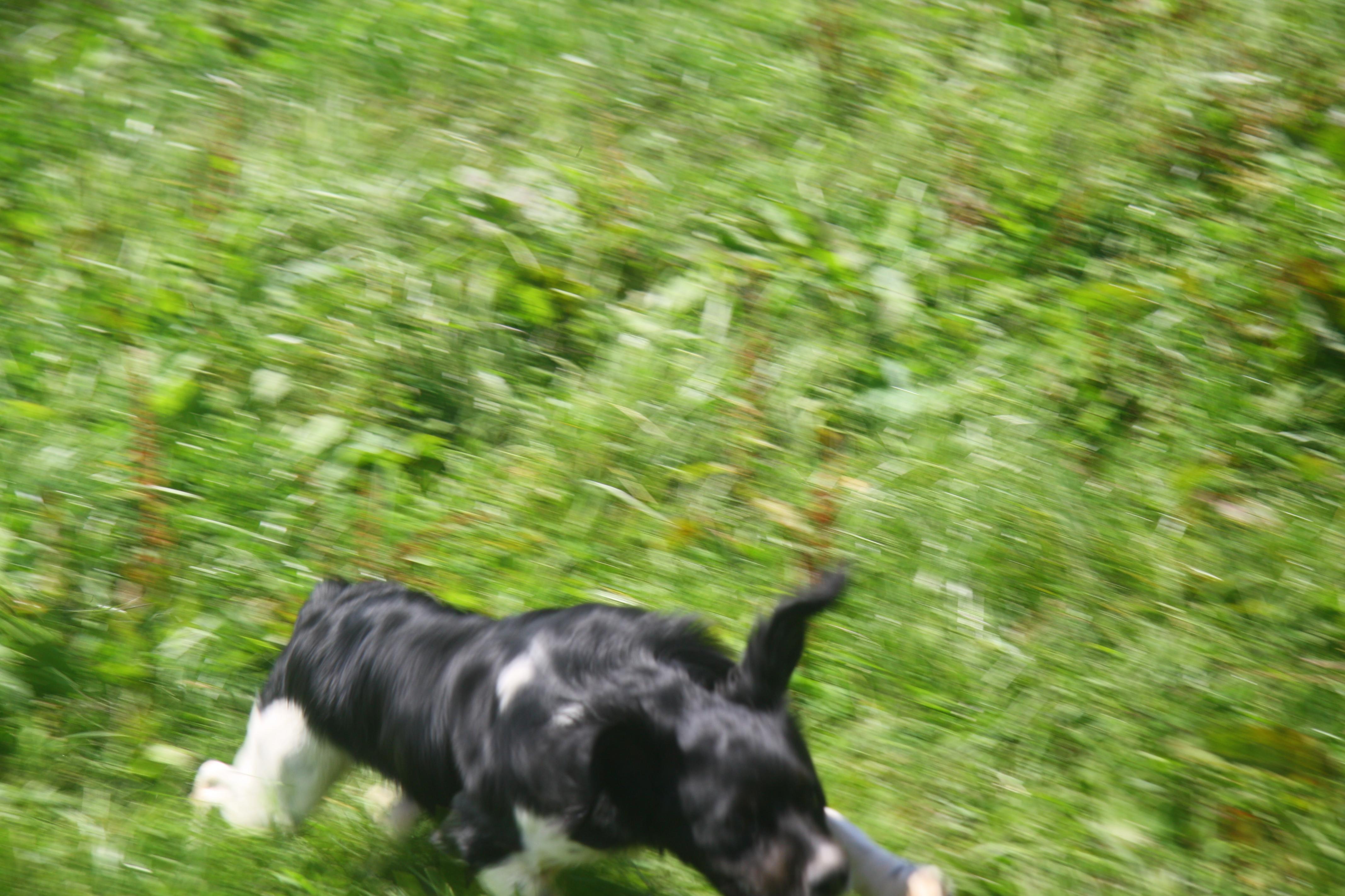 Name:  IMG_0009.jpg
Views: 433
Size:  916.6 KB