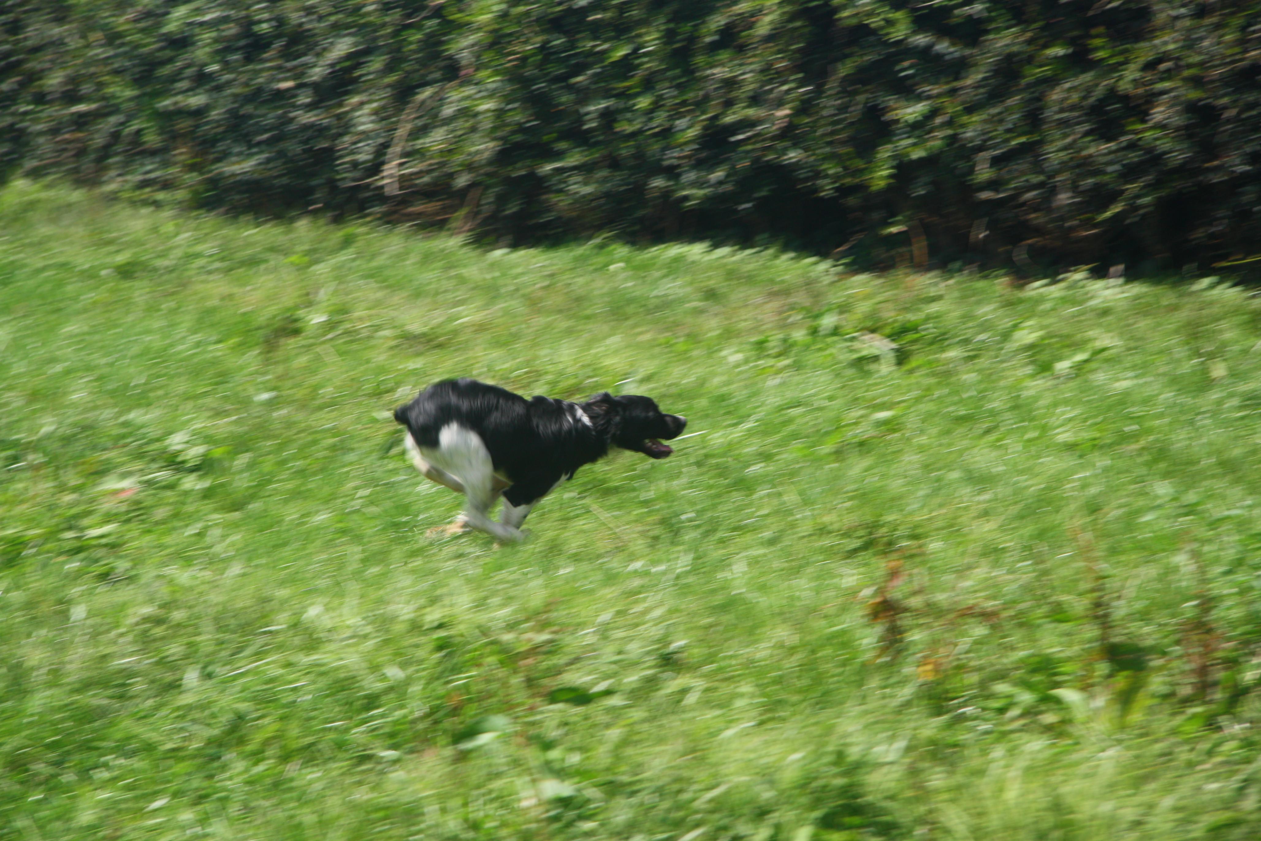 Name:  IMG_0013.jpg
Views: 457
Size:  1,000.8 KB