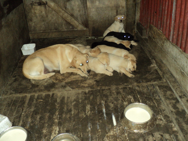 Name:  picture 8653.jpg
Views: 279
Size:  163.1 KB