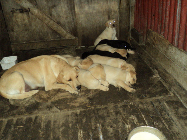 Name:  picture 8654.jpg
Views: 288
Size:  163.6 KB