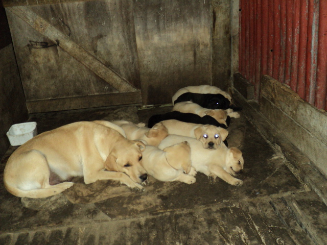 Name:  picture 8655.jpg
Views: 266
Size:  163.4 KB