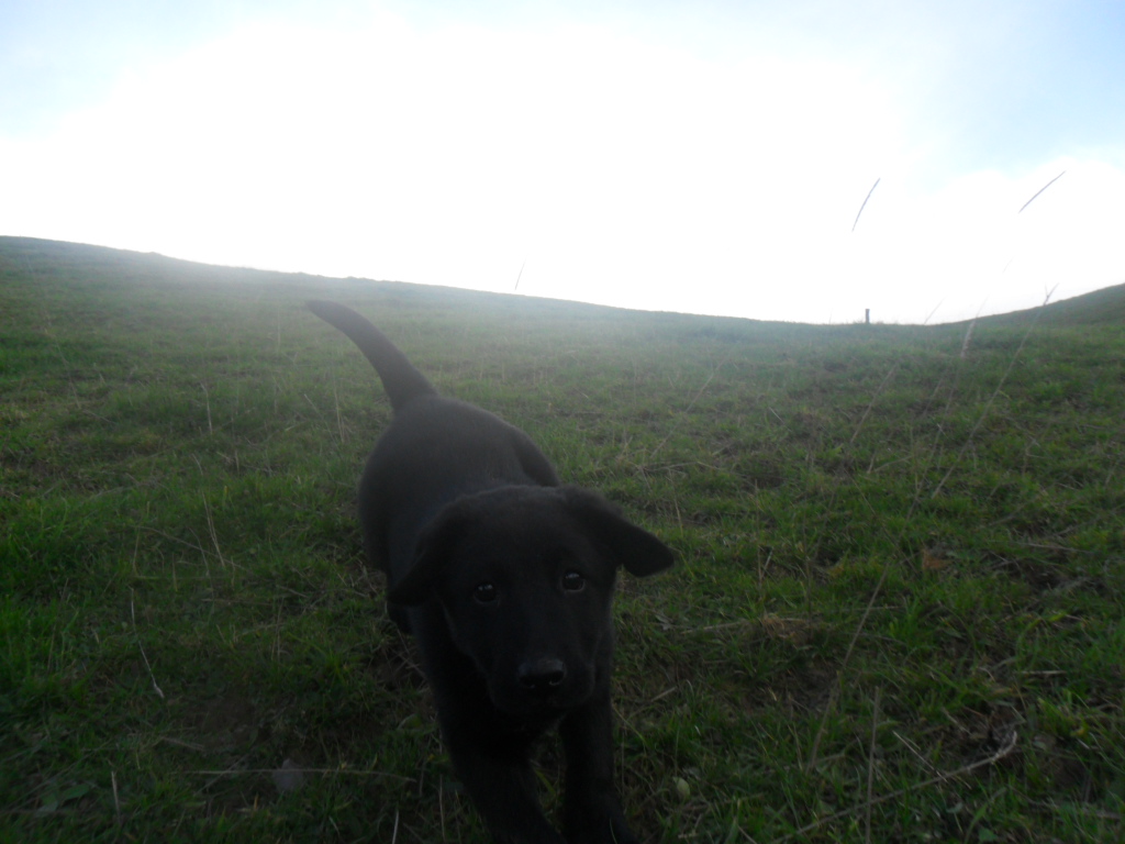 Name:  SAM_1208.JPG
Views: 425
Size:  379.7 KB