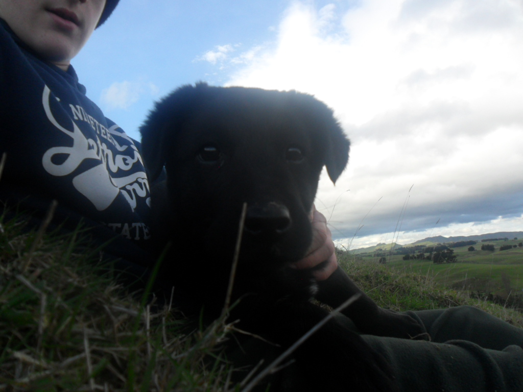 Name:  SAM_1212.JPG
Views: 422
Size:  351.3 KB
