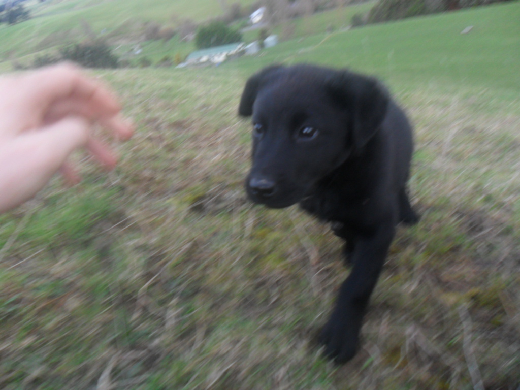 Name:  SAM_1225.JPG
Views: 420
Size:  379.7 KB