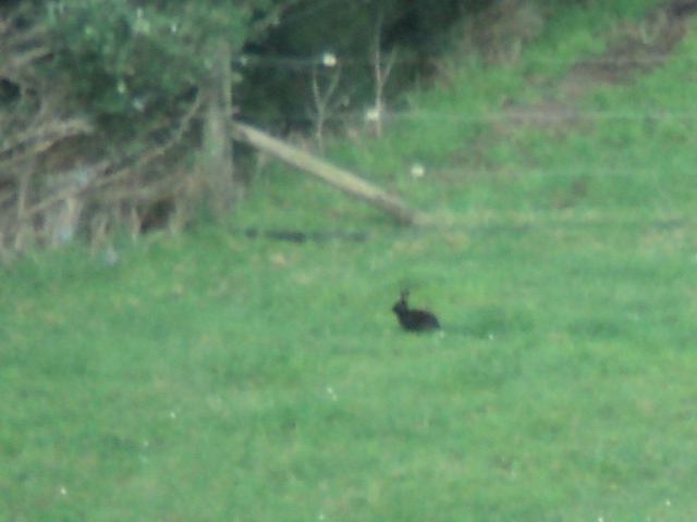 Name:  picture 9100.jpg
Views: 171
Size:  164.2 KB