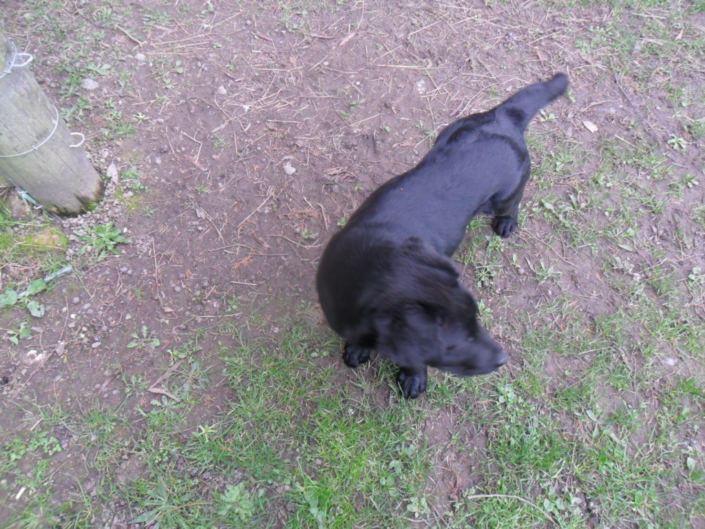 Name:  SAM_0042.JPG
Views: 231
Size:  434.6 KB