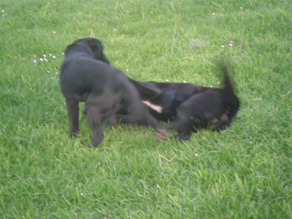 Name:  SAM_0012.JPG
Views: 224
Size:  341.6 KB