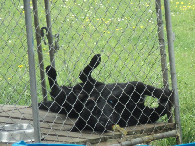 Name:  picture 9685.jpg
Views: 316
Size:  164.9 KB